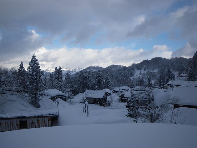IMGP3986.jpg