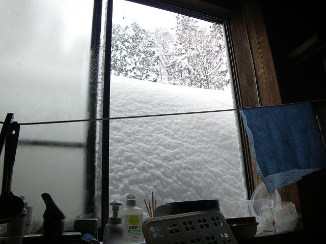 IMGP3987.jpg