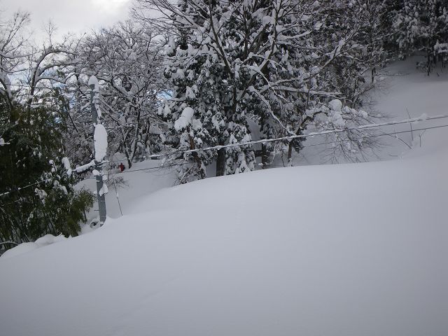IMGP3989.jpg