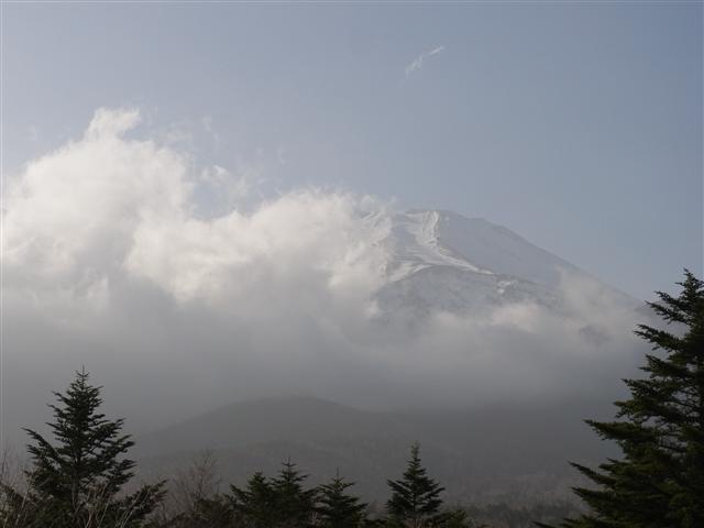 R0012339 (Custom).JPG