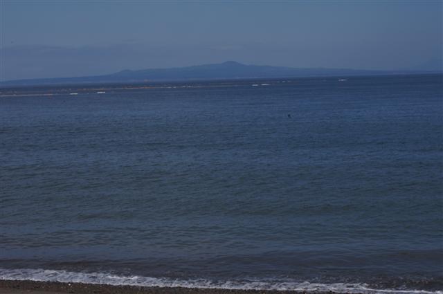 DSC00500 (Small).JPG