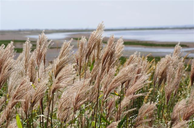 DSC00507 (Small).JPG
