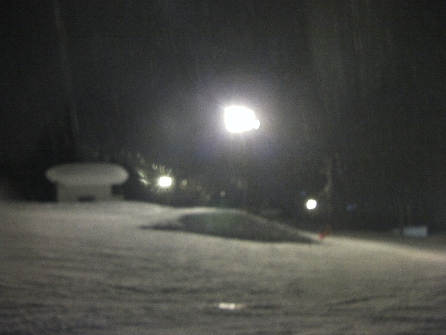 SANY0031.jpg