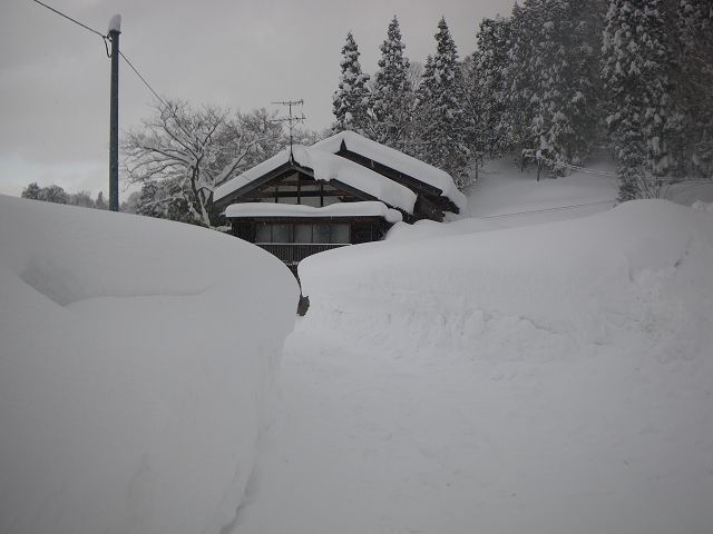 20110131_728081.jpg