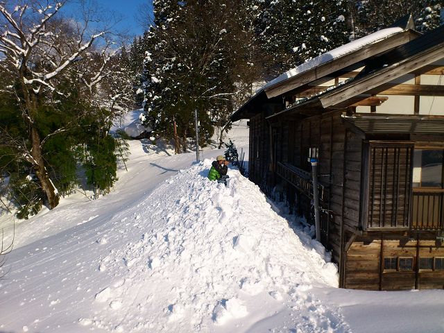 DSC_0044.jpg
