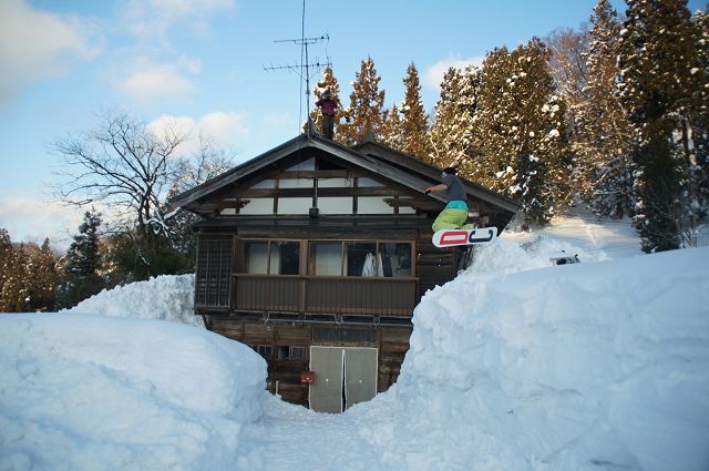 DSC02478.jpg