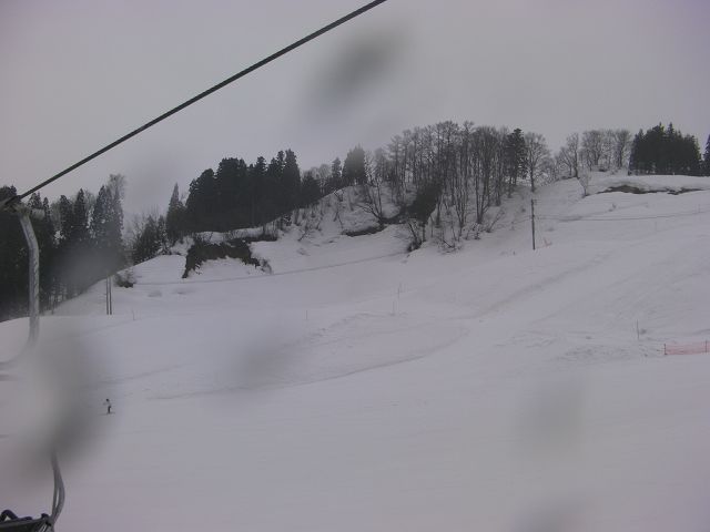 SANY0130.jpg