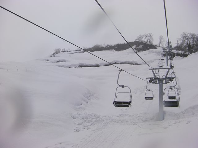 SANY0132.jpg