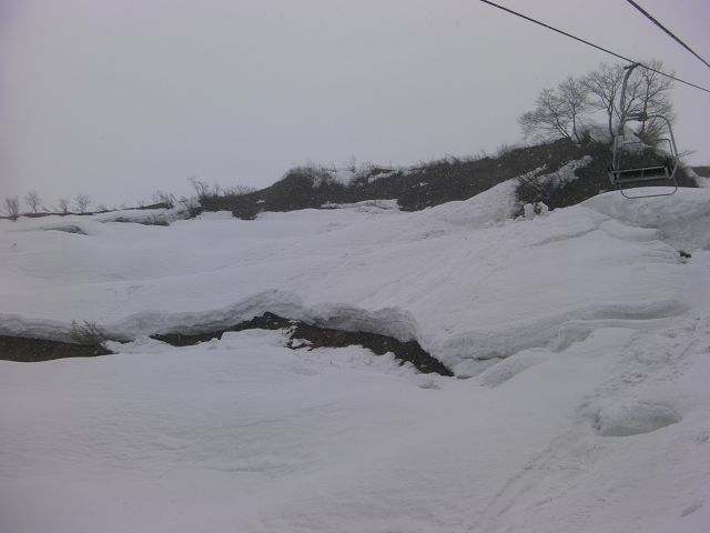 SANY0135.jpg