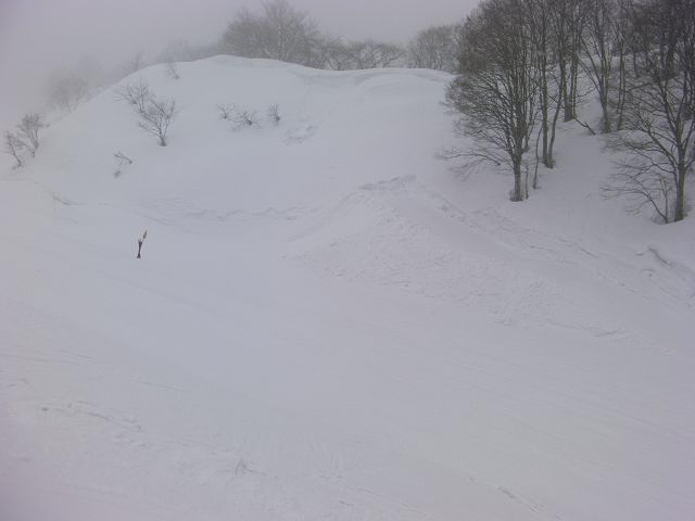 SANY0143.jpg