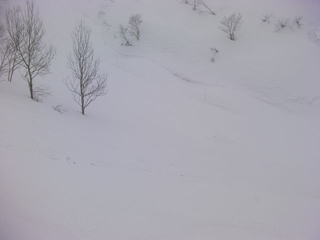 SANY0145.jpg