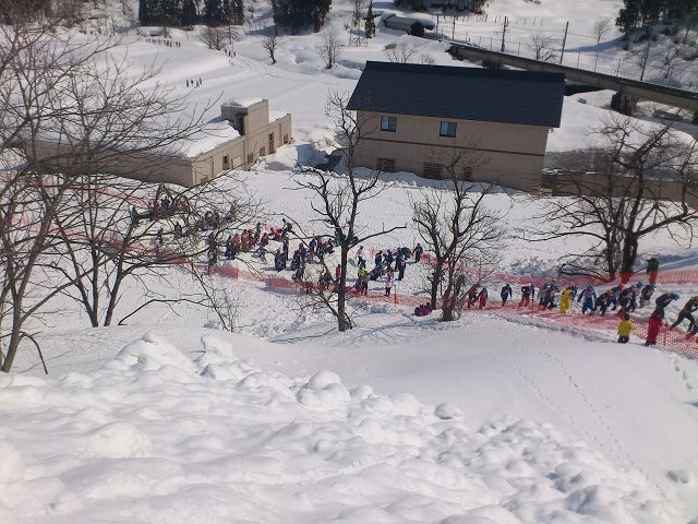 DSC_0135.jpg