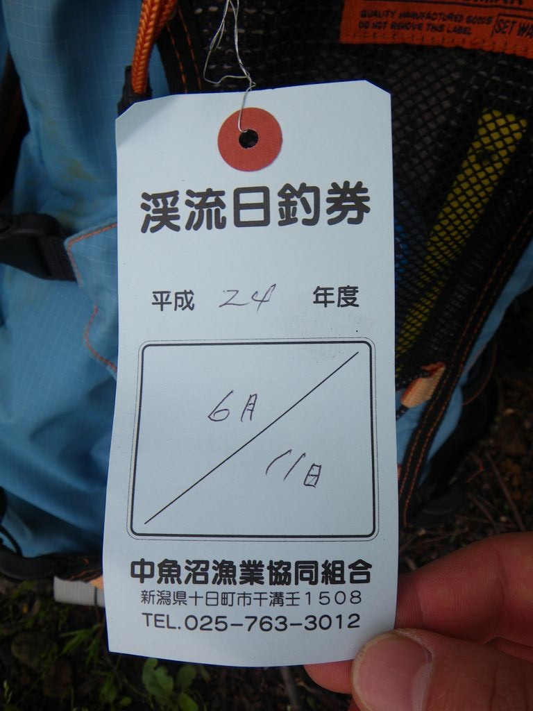 IMGP5882.jpg