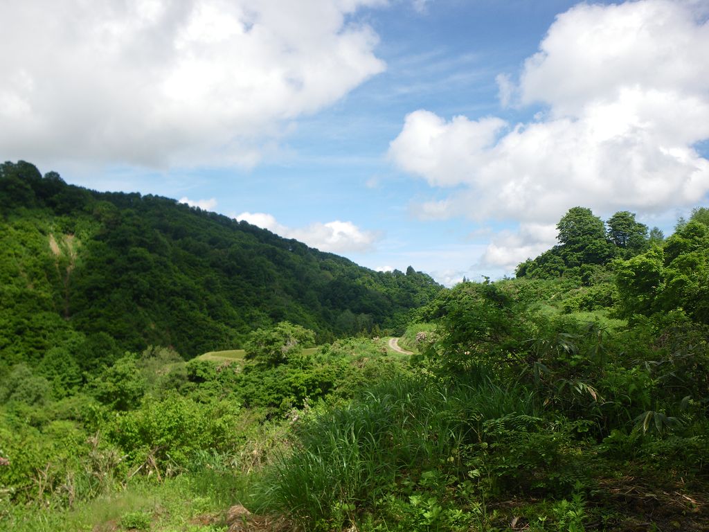 IMGP5883.jpg