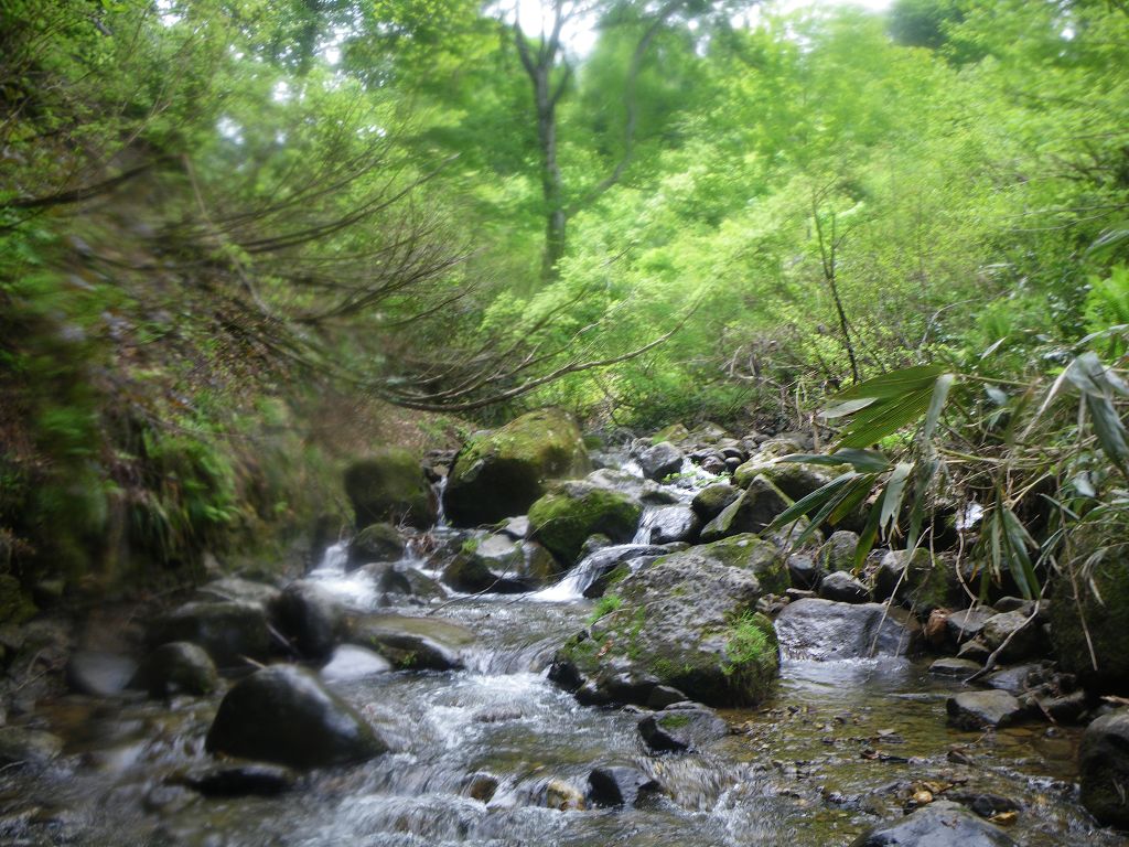 IMGP5890.jpg