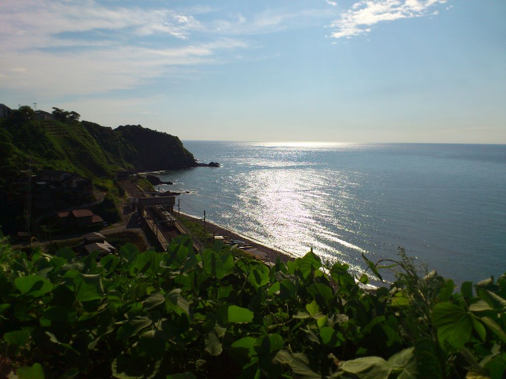 DSC_0769.jpg