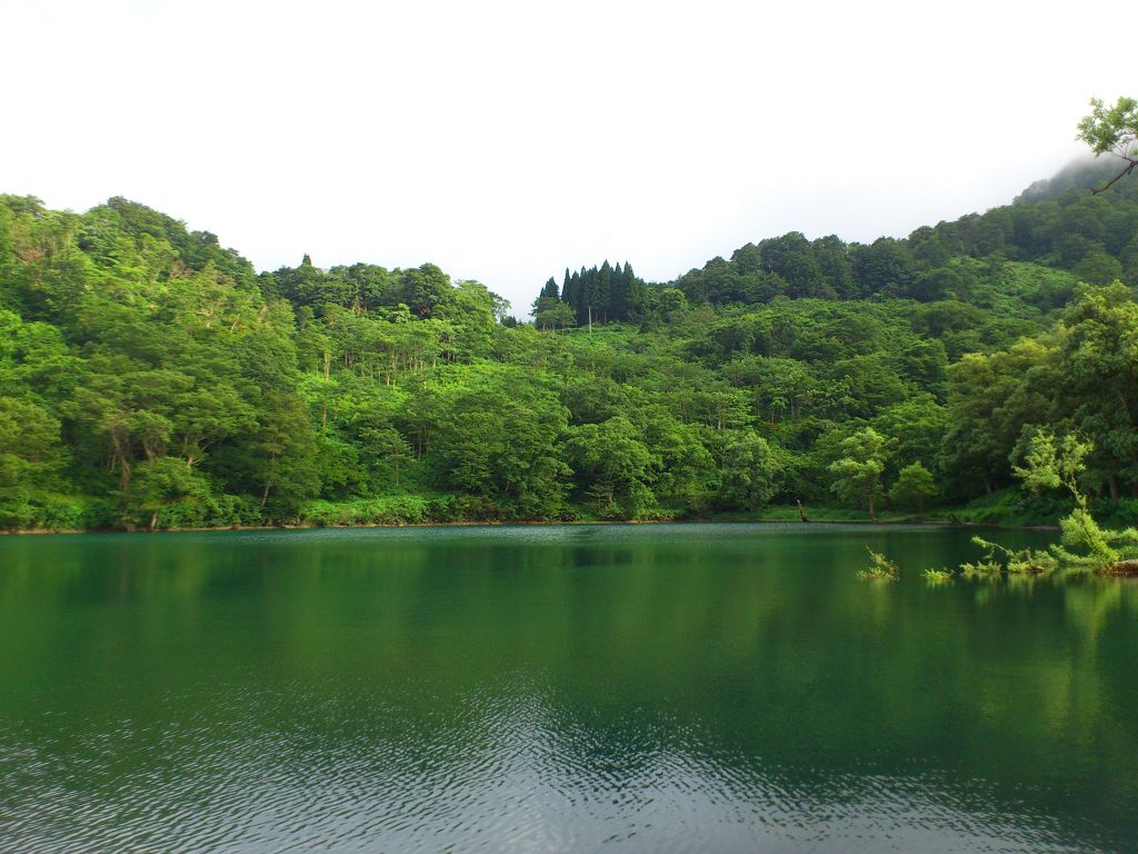 DSC_0795.jpg