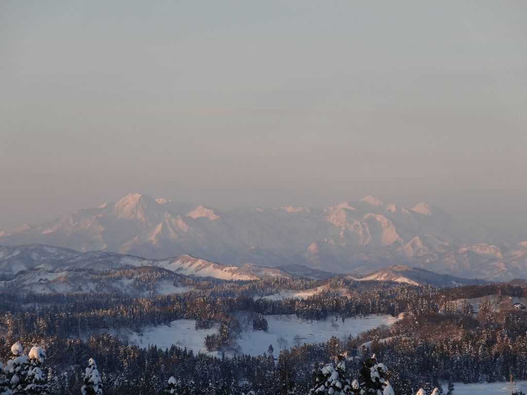 DSC00009.jpg