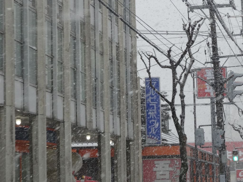 DSC00198.jpg