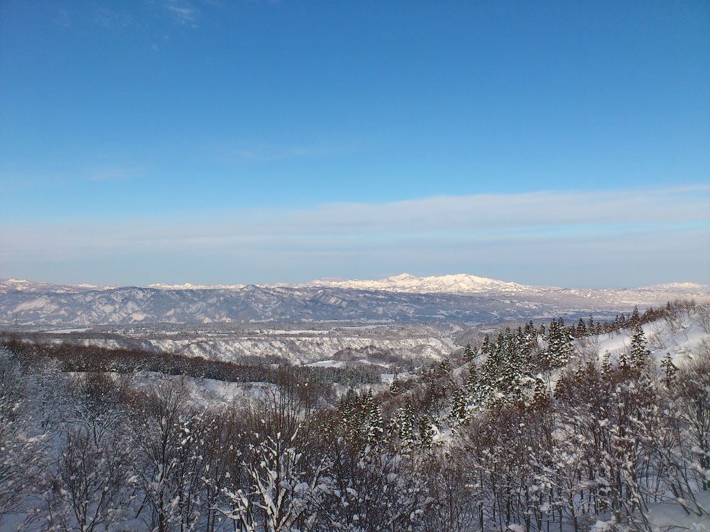 DSC_1406.jpg
