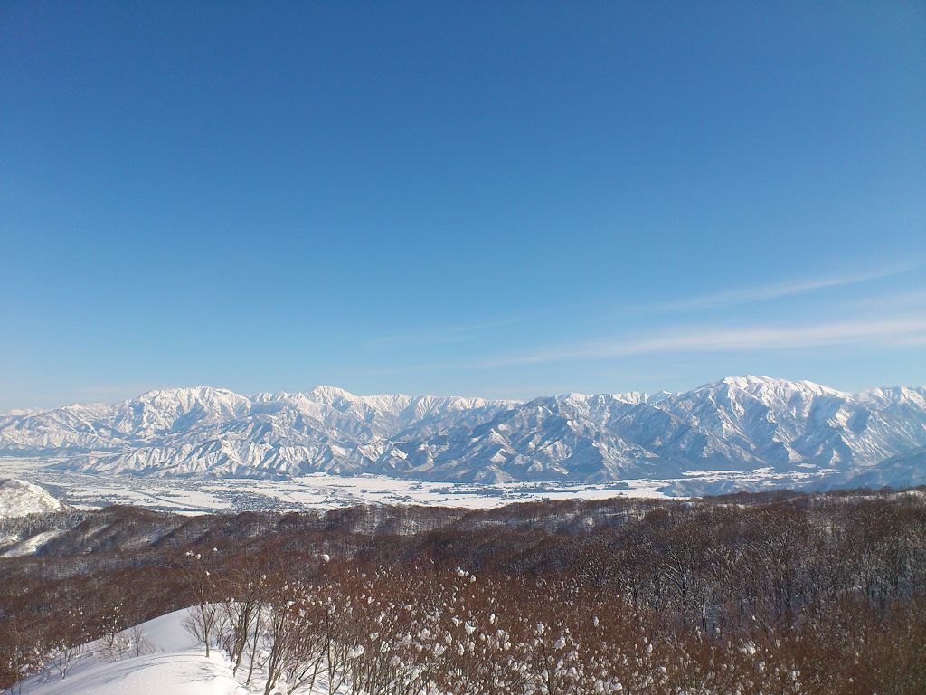DSC_1420.jpg