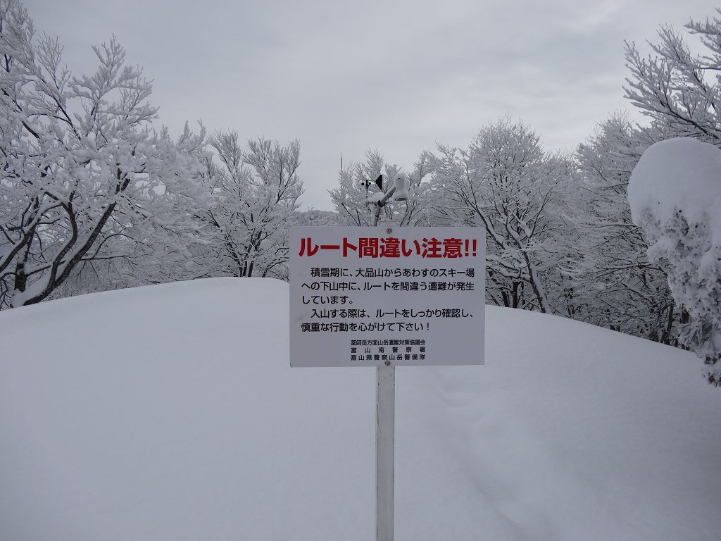 DSC00305.jpg