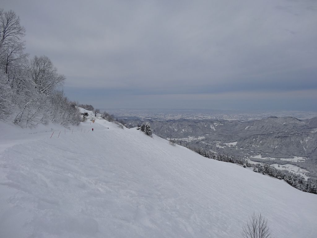 DSC00310.jpg