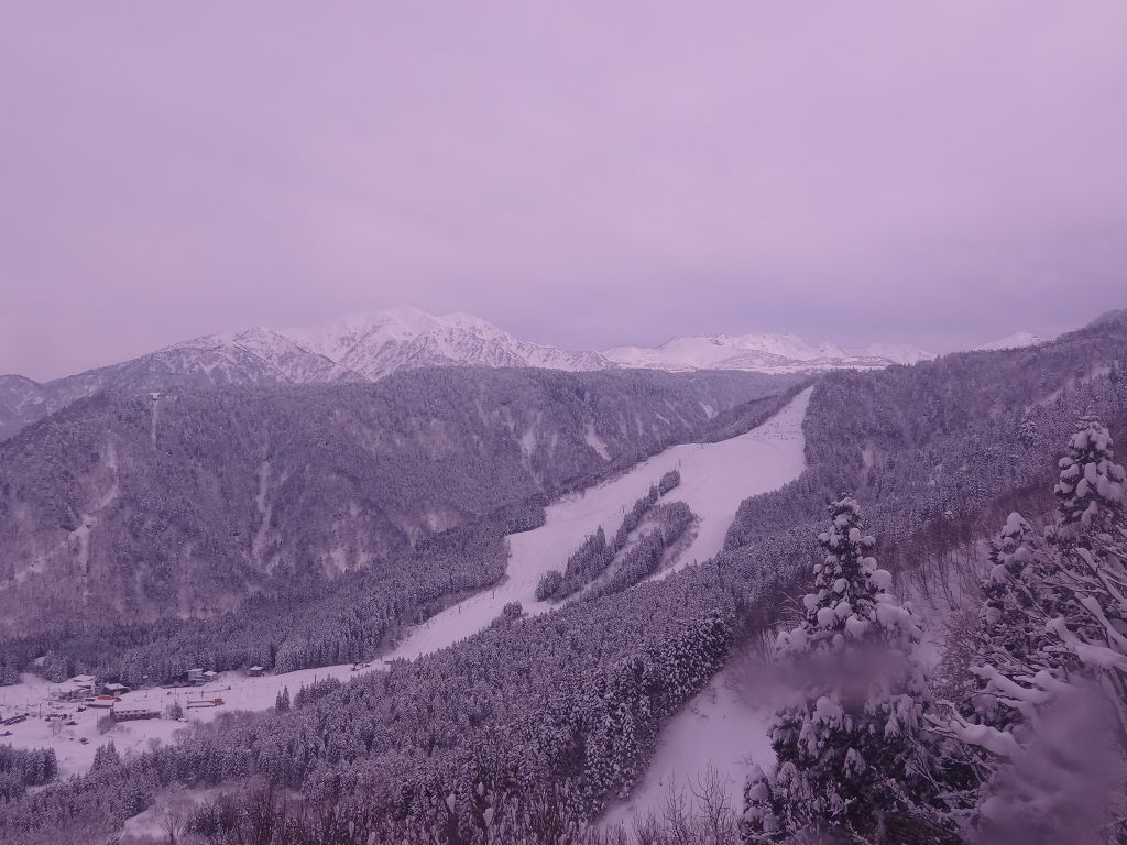 DSC00315.jpg