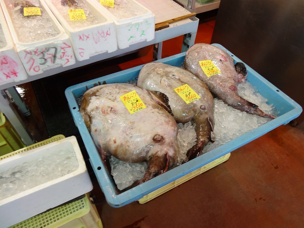 DSC00382.jpg