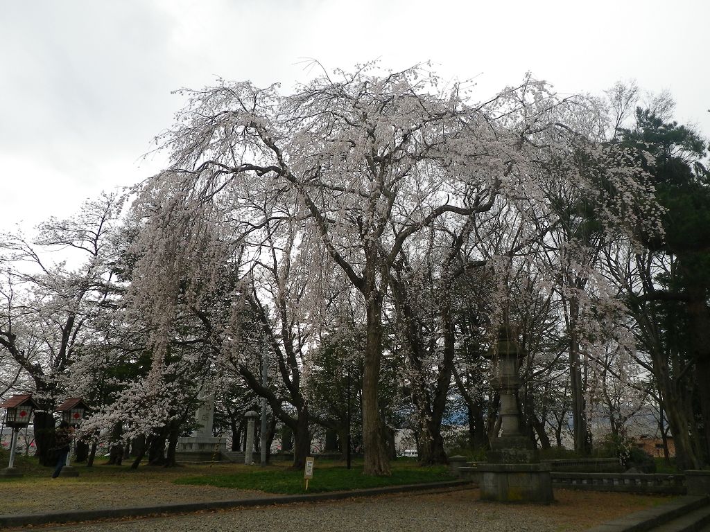 IMGP4654.jpg