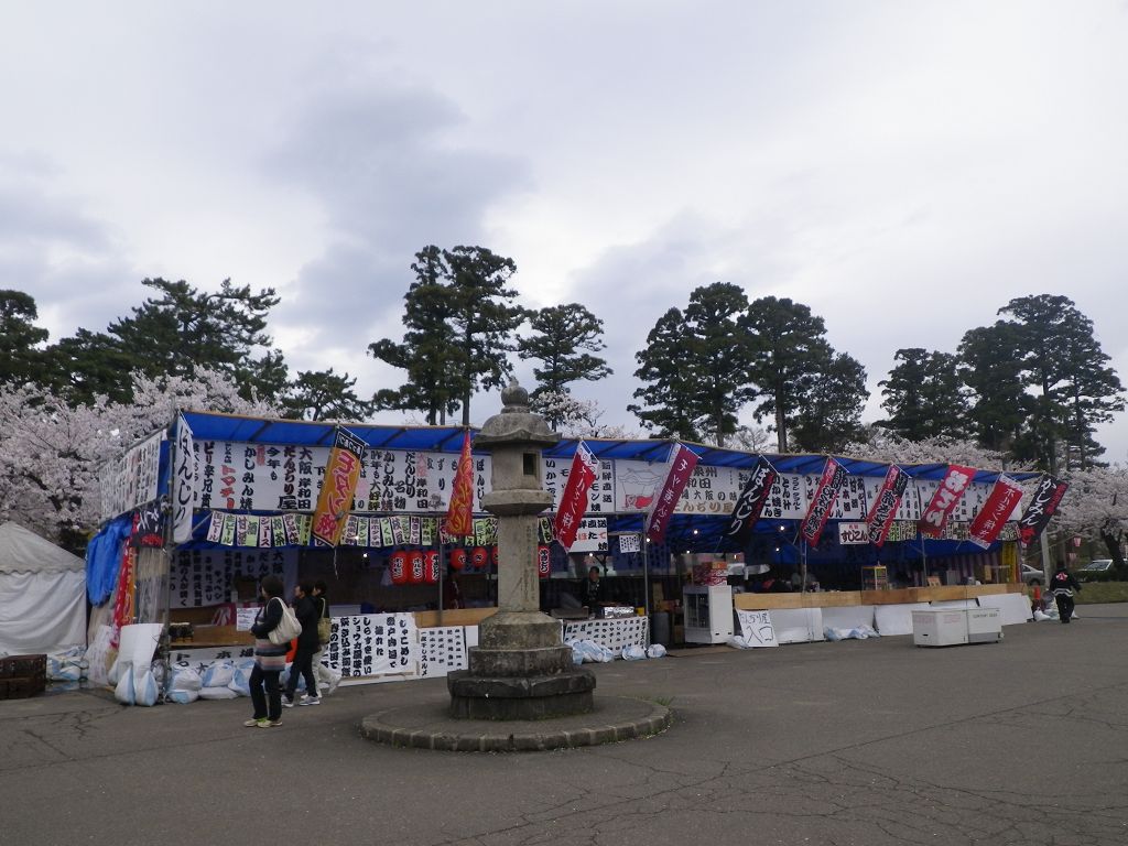 IMGP4660.jpg