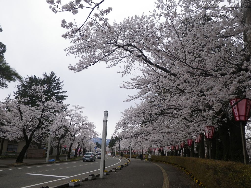 IMGP4663.jpg