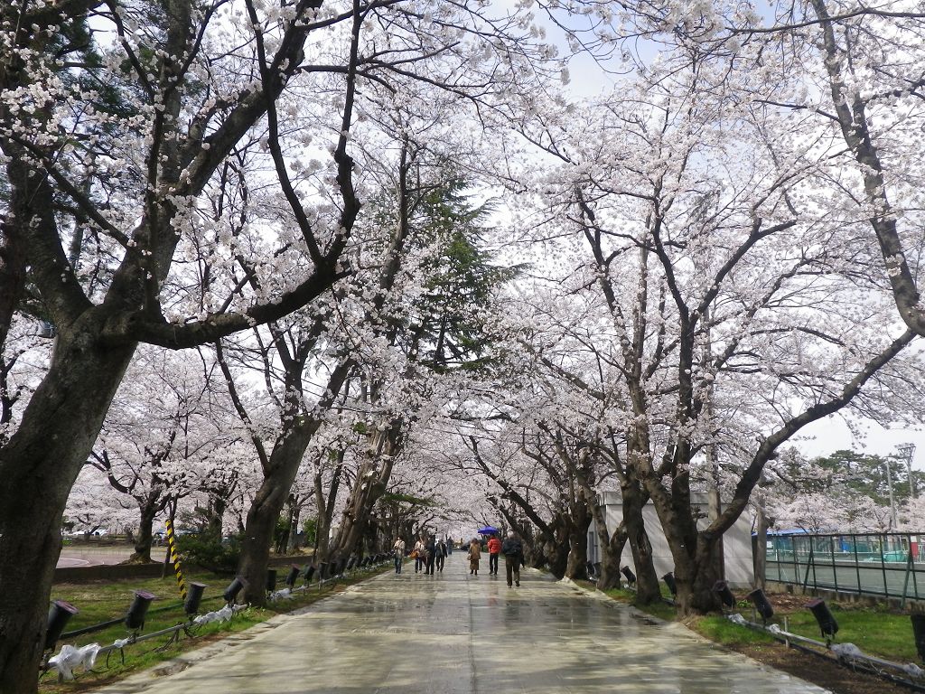IMGP4677.jpg