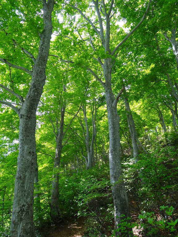DSC01071.jpg