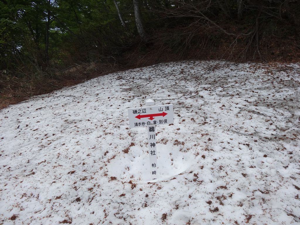 DSC01074.jpg