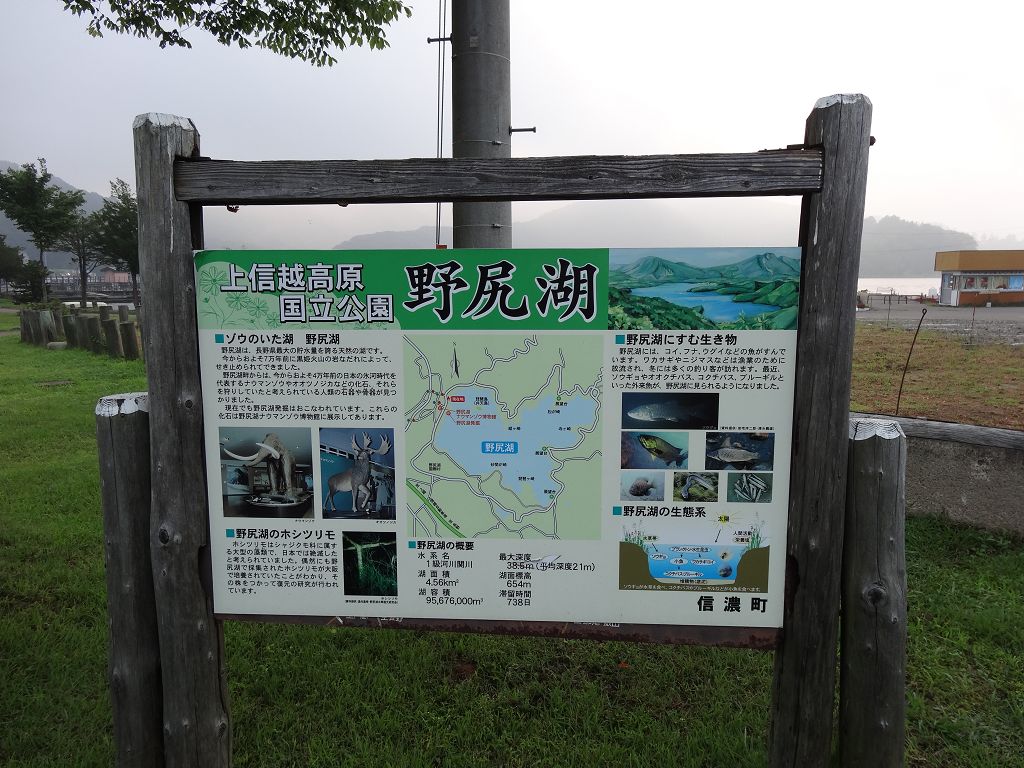 DSC01535.jpg