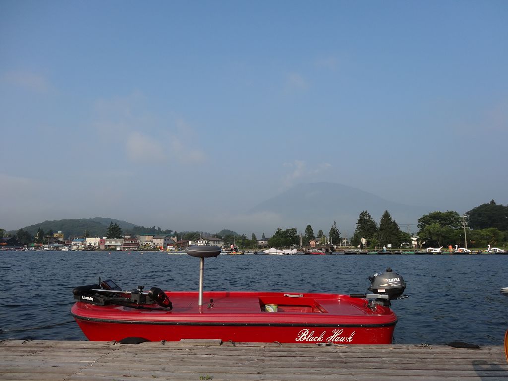 DSC01538.jpg