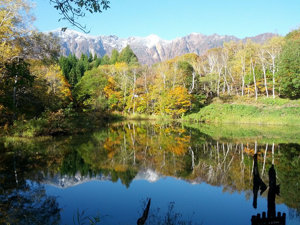 IMG_20131028_082650.jpg