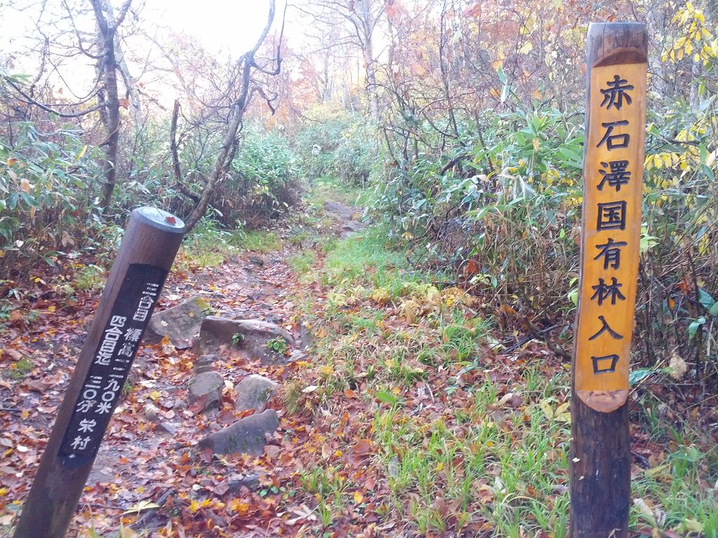 IMG_20131028_085731.jpg