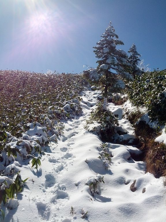 IMG_20131028_105628.jpg