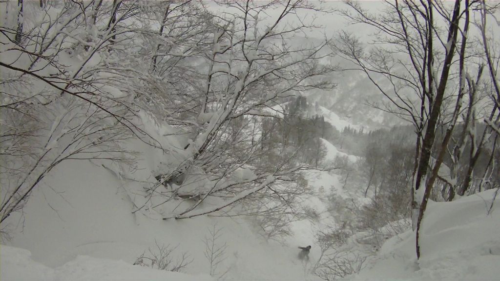 FILE0253.MOV_000101801.jpg
