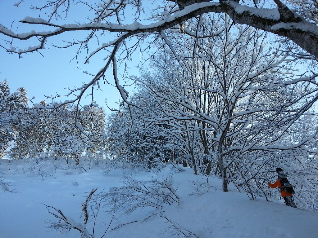 20140115_114010.jpg