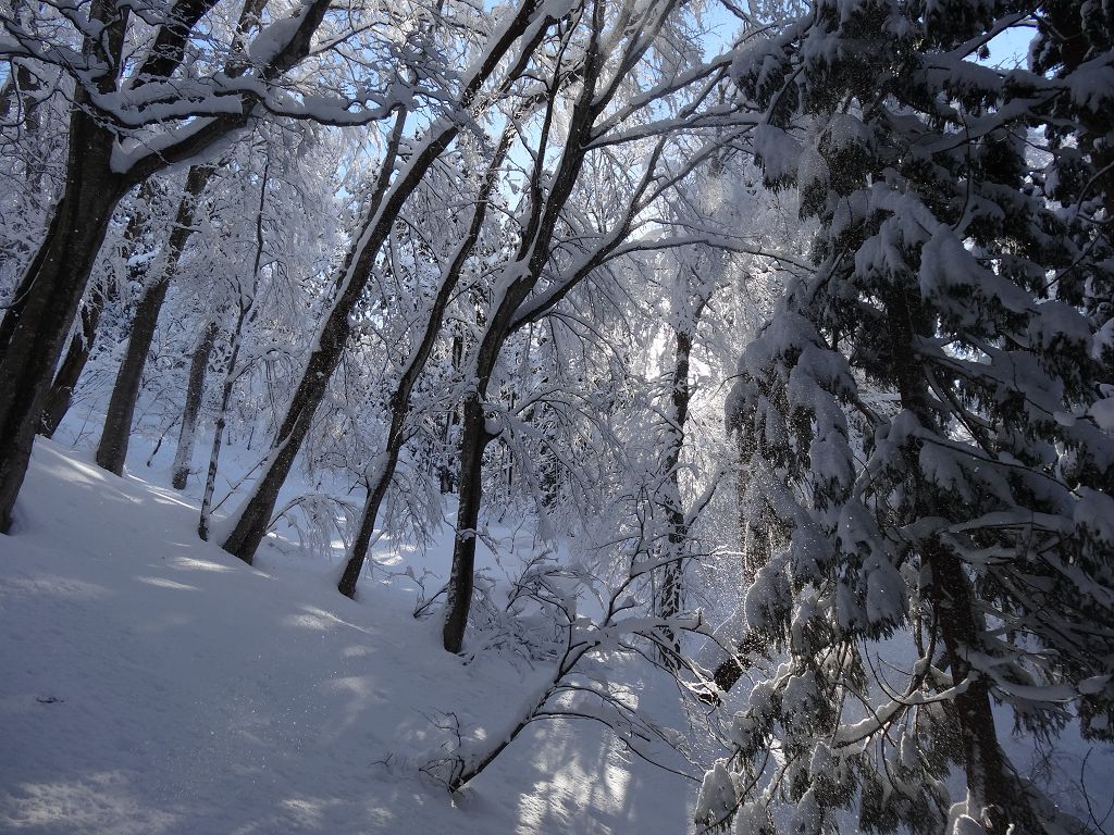 DSC01938.jpg
