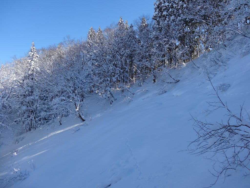 DSC01949.jpg