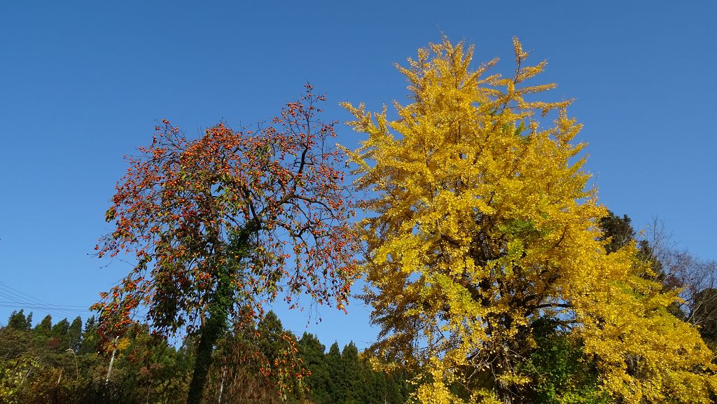 DSC00056.jpg