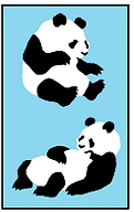 panda