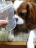 何