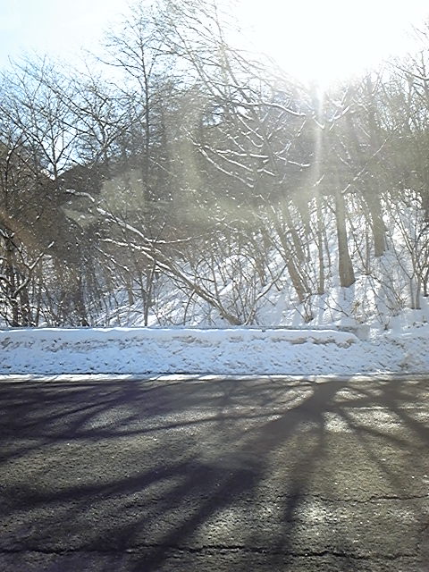 110302_144603.jpg