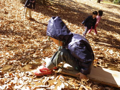 IMGP2724.JPG