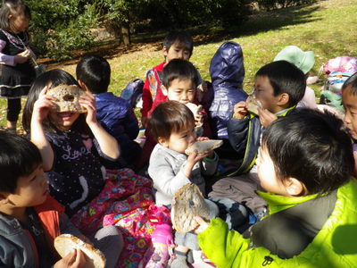 IMGP2750-1.JPG